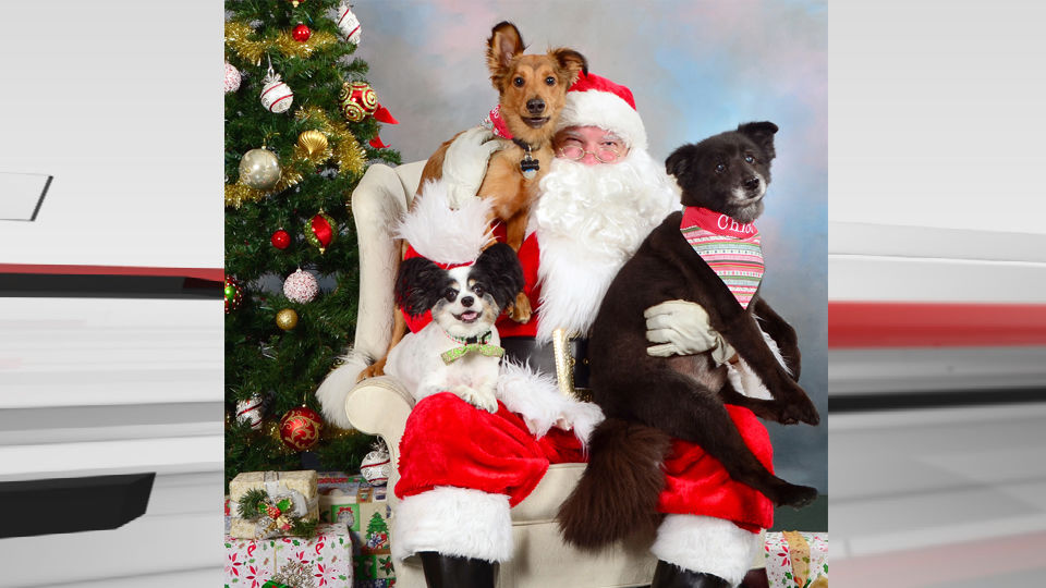 Pet Pictures with Santa 12-3-19.jpg